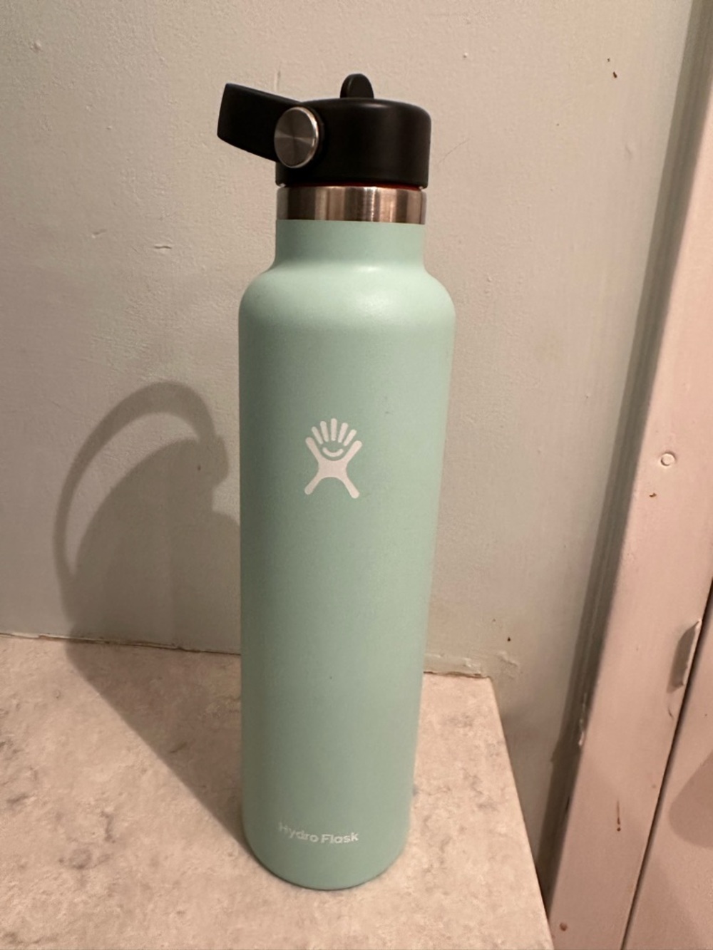 Hydro Flask Mint Green Tall Stainless Steel Bottle with Black Lid